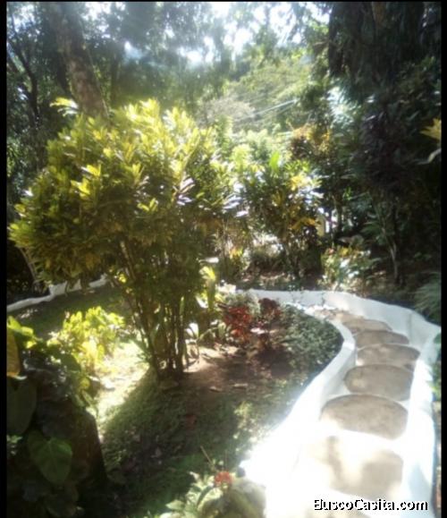 Se vende Casa en Penonome 