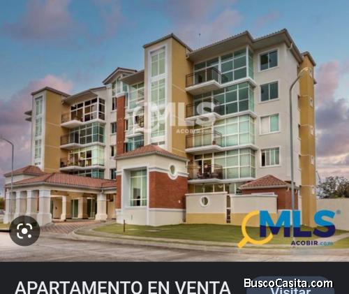 Alquilo apartamento en costa verde 