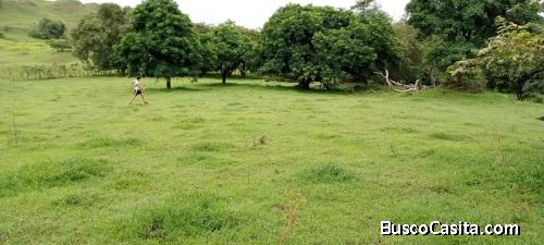 Terreno disponible para inversión, uso agropecuario 7000.16 m2