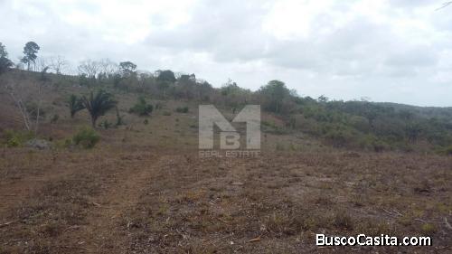 LA CHORRERA: SE VENDE FINCA DE 104 HECT.104 HECTARE PROPERTY FOR SALE