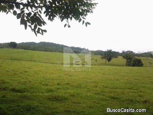 LA CHORRERA: SE VENDE FINCA URBANIZABLEDEVELOPABLE LAND FOR SALE