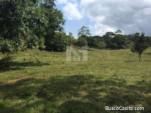 SE VENDE FINCA EN TULU DE COCLE - FARM IN TULU COCLE FOR SALE