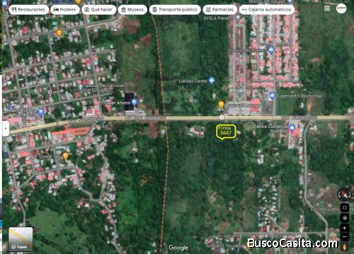 EN VENTA TERRENO 5 hetareas en transismica Buena vista I Colon.