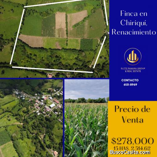 VENDO FINCA AGRICOLA EN RENACIMIENTO CHIRIQUI
