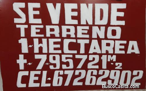 TERRENO EN VENTA-SAN CARLOS**OFERTA***