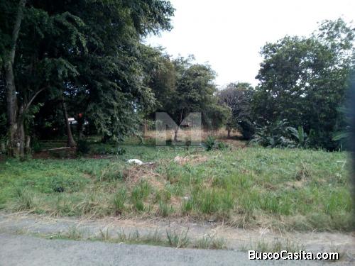 SE VENDE TERRENO EN ALTOS DE SAN FRANCISCO, LA CHORRERA