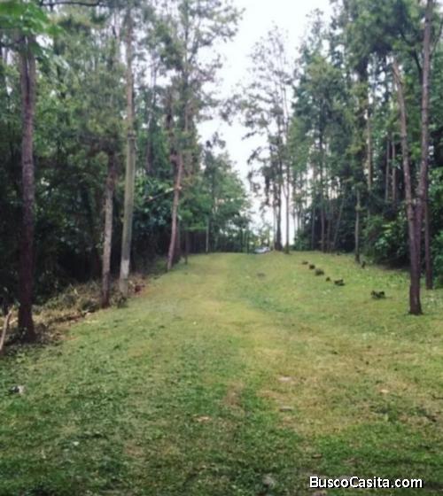 Se vende hermoso terreno en La Chorrera