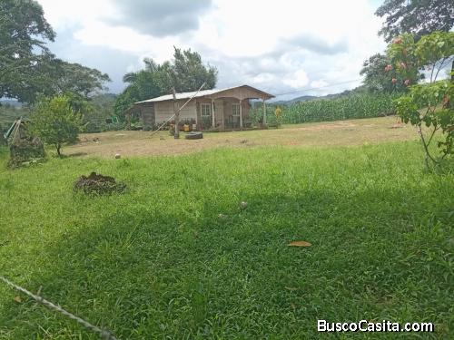 Se vende terreno en el Cedro de Los Pozos 