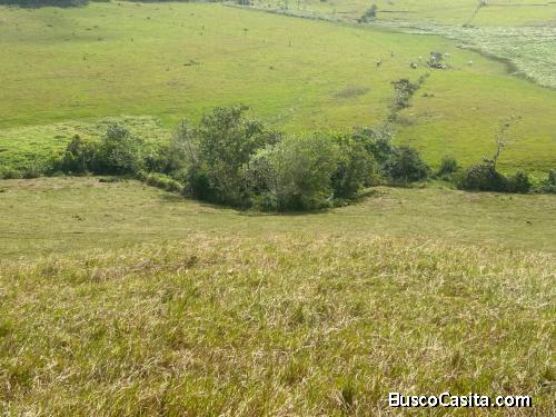 finca en venta 