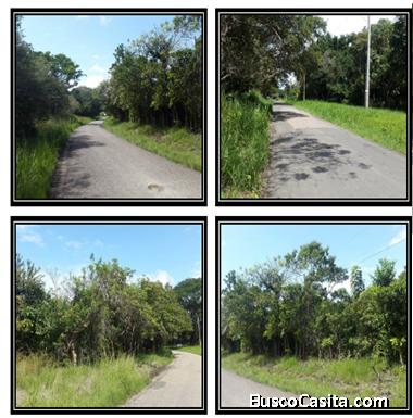 Lote en Antón Coclé