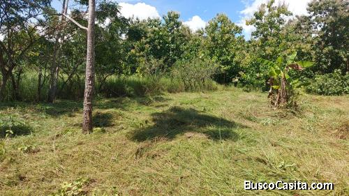 SE VENDE TERRENO DE 1,000m2 EN GORGONA - LOT FOR SALE IN GORGONA, 1,000 Sq. Mt.
