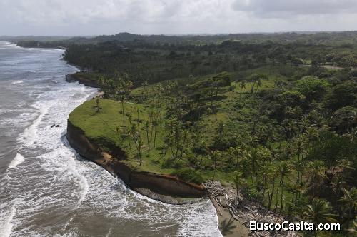 VENTA 1,000 HECTÁREAS A ORILLAS DEL CARIBE EN COLÓN - FOR SALE 1,000 HECTARE ON THE CARIBBEAN, COLON