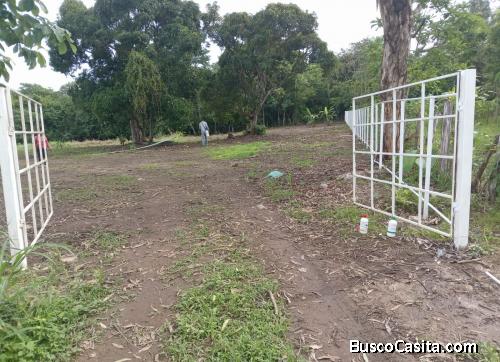 Lotes en Aguas blancas de Penonomé 