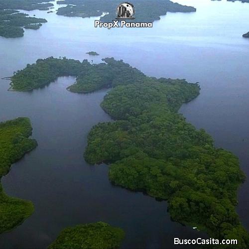 Se vende hermosa Península en el lago Gatún 