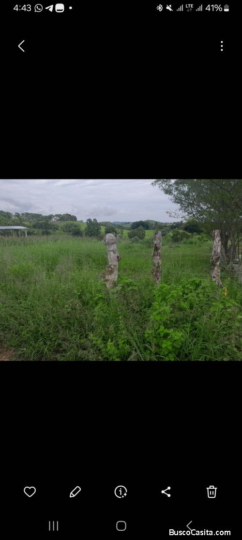 Vendo Terreno en LAs Guabas de Los Santos
