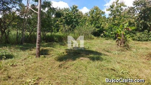 SE VENDE TERRENO DE 1,000m2 EN GORGONA - LOT FOR SALE IN GORGONA, 1,000 Sq. Mt.
