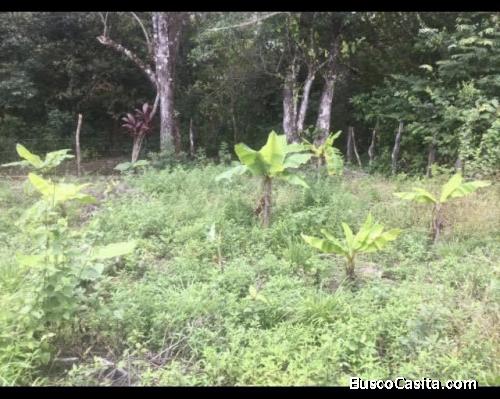 a la venta terreno ubicado en tinajas, Chiriqui