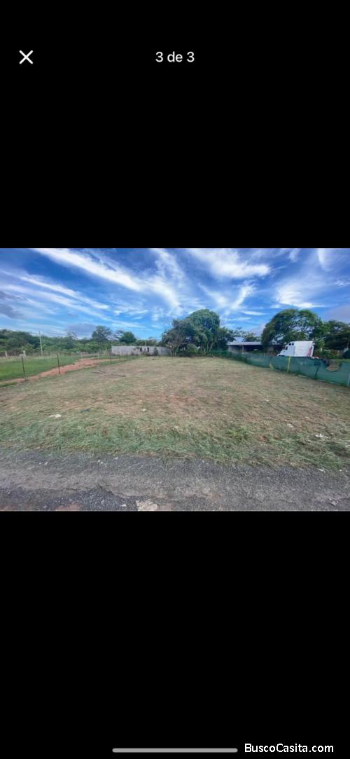 se alquila 624mt en chorrera la mitra frente a barriada bosque dorado