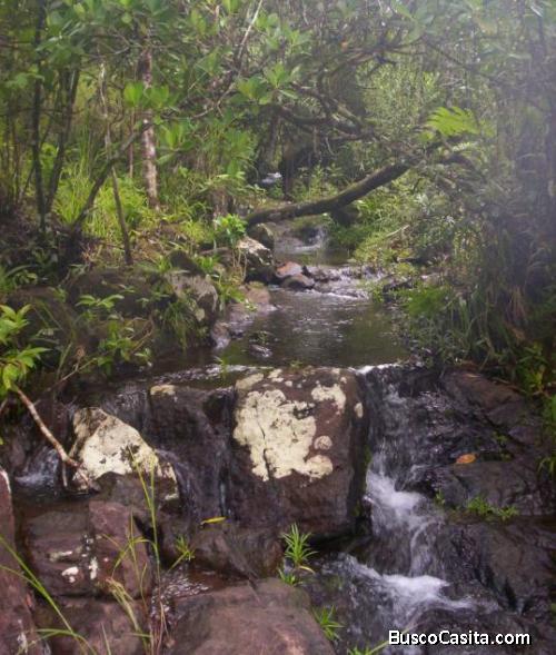 Terreno de 60 Has + 9,363 m2 en Calobre, Veraguas.