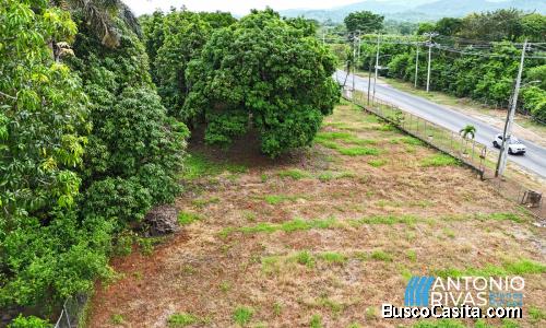 Excelente Terreno Comercial