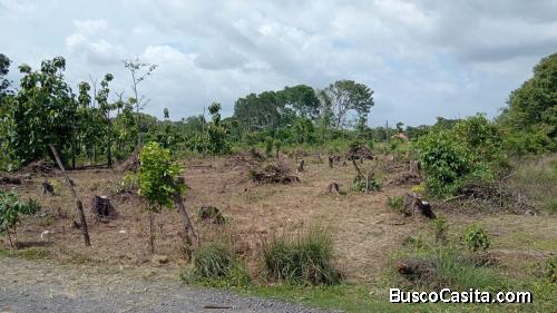 Vendo lotes en Carretera Punta Chame Bejuco Pajonal