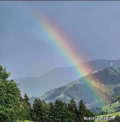en contactarnos en welschsusanegmail para todas sus necesidades.