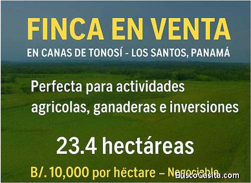 Se vende finca de 23.4 hectáreas en Cañas de Tonosí, Los Santos (Panamá)