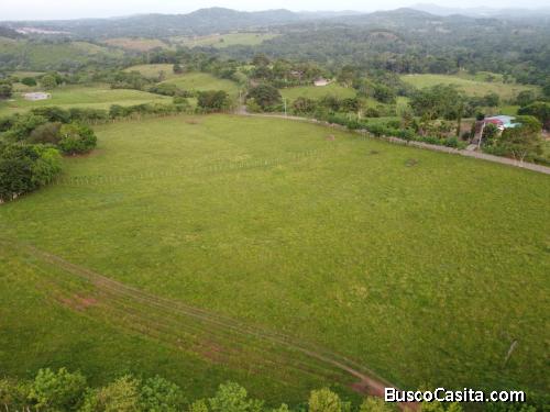 Finca de 2.6 hectareas -La Chorrera Los Corozales