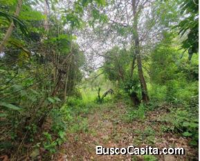 Terreno en Venta en Dolega Chiriquí 3,100 m²