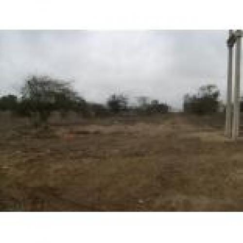 ID 896 TERRENO VENTA EN LURIN