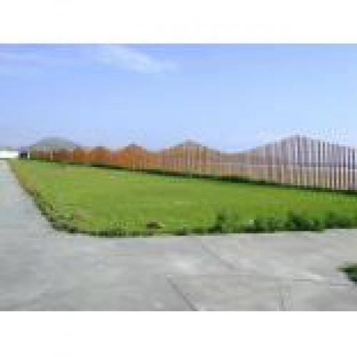 ID 981 TERRENO EN VENTA CAÑETE MALA