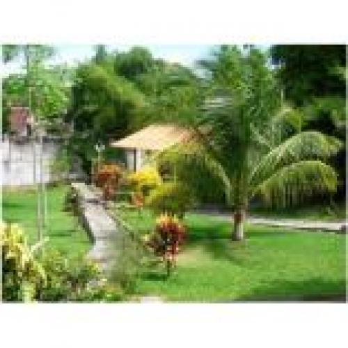 ID 1010 CASA EN VENTA DPTO. SAN MARTIN DIST. TARAPOTO