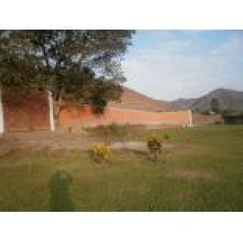 ID 1045 TERRENO EN VENTA PACHACAMAC