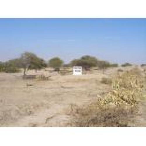 ID 1047 TERRENO EN PIURA EN VENTA