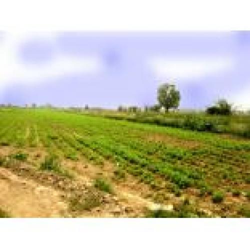 ID 1096 OPORTUNIDAD TERRENO EN VENTA CARABAYLLO