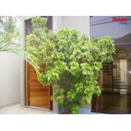 ID 1127 CONDOMINIO FAMILIAR EN VENTA LA MOLINA