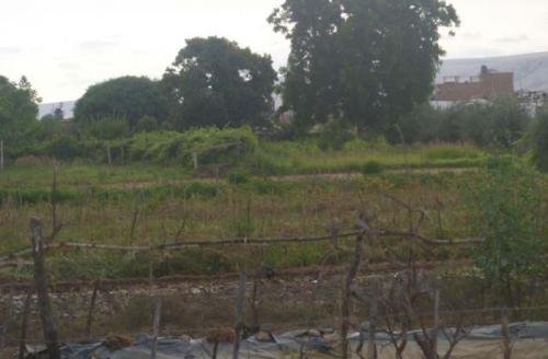 VENTA DE TERRENO EN CALLE JORGE CHÁVEZ 2581 - FUNDO STA. ROSA -DISTRITO DE POCOLLAY- TACNA  COLINDA CON LAS AV. JORGE BASADRE Y CON LA URB. LAS MAGNOL