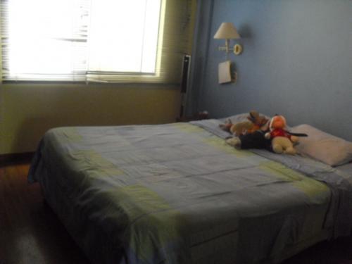 Quimperu vende lindo dúplex de 186m2 mas aires en San Borja. Con vista a la calle.