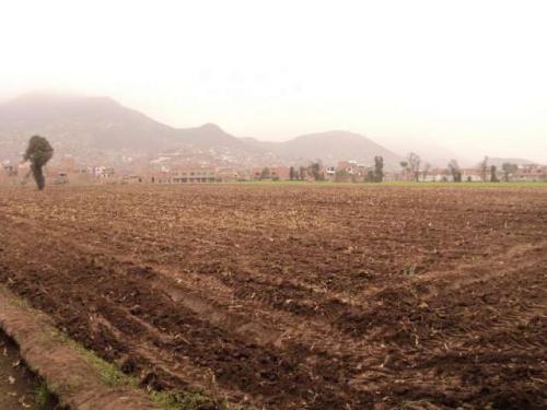 CARABAYLLO VENDO TERRENO MAS DE 22,500.00 m2