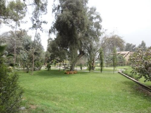 VENTA DE TERRENO EN AV. EL SOL DE STA. INES N° 475 - CHACLACAYO