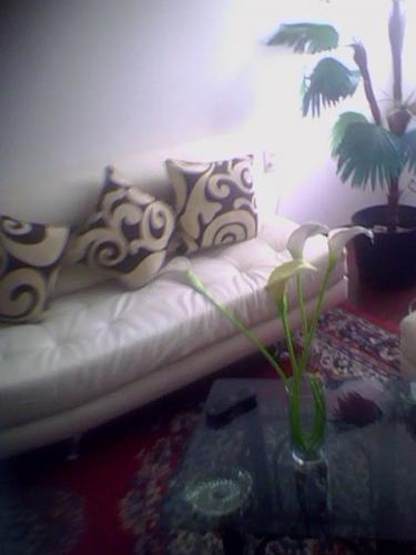  departamentos amoblados alquilo San Isidro Lima Peru