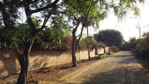 VENTA DE TERRENOS PARA CASAS DE CAMPO EN PACHACAMAC