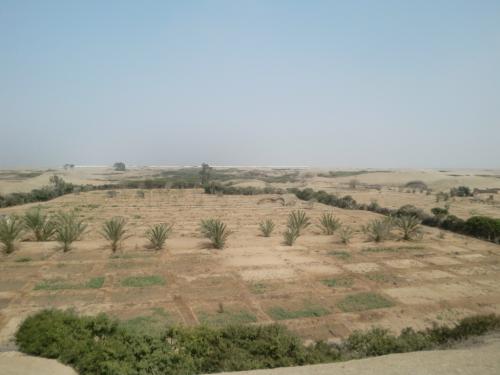 Venta de Terreno en Chilca