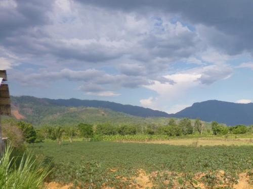 VENTA DE TERRENO EN SATIPO