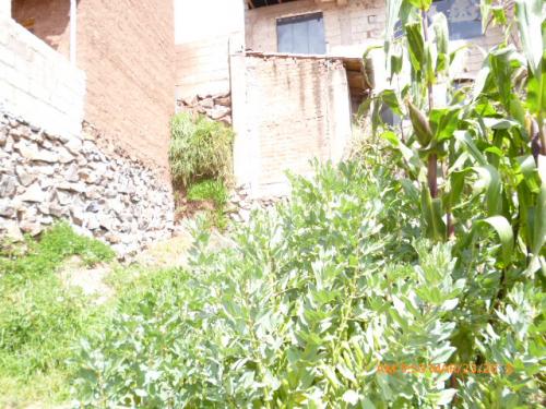 TERRENO APV ILLAREQ TIWINSA DE 137.5M2