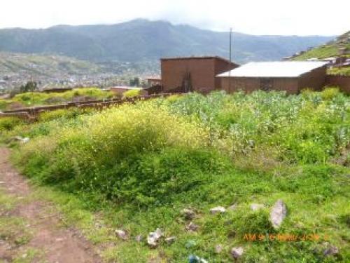 TERRENO EN APV VIRGEN DE BELEN DE 160M2