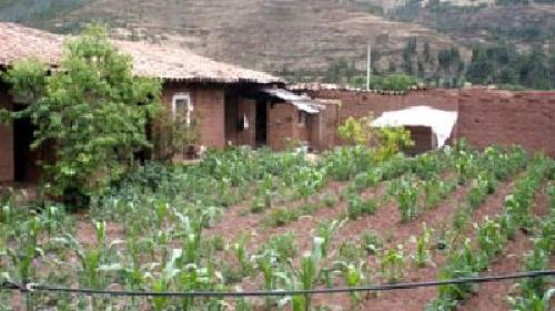 TERRENO SAYLLA DE 4000M2