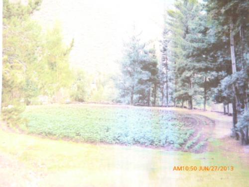 TERRENO ANDAHUAYLILLAS DE 2381M2