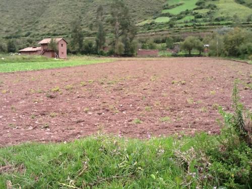 12 LOTES DE TERRENO EN OLLANTAYTAMBO