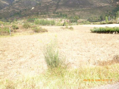 TERRENO EN SAN SALVADOR SECTOR UCHUMUCA DE 12599M2